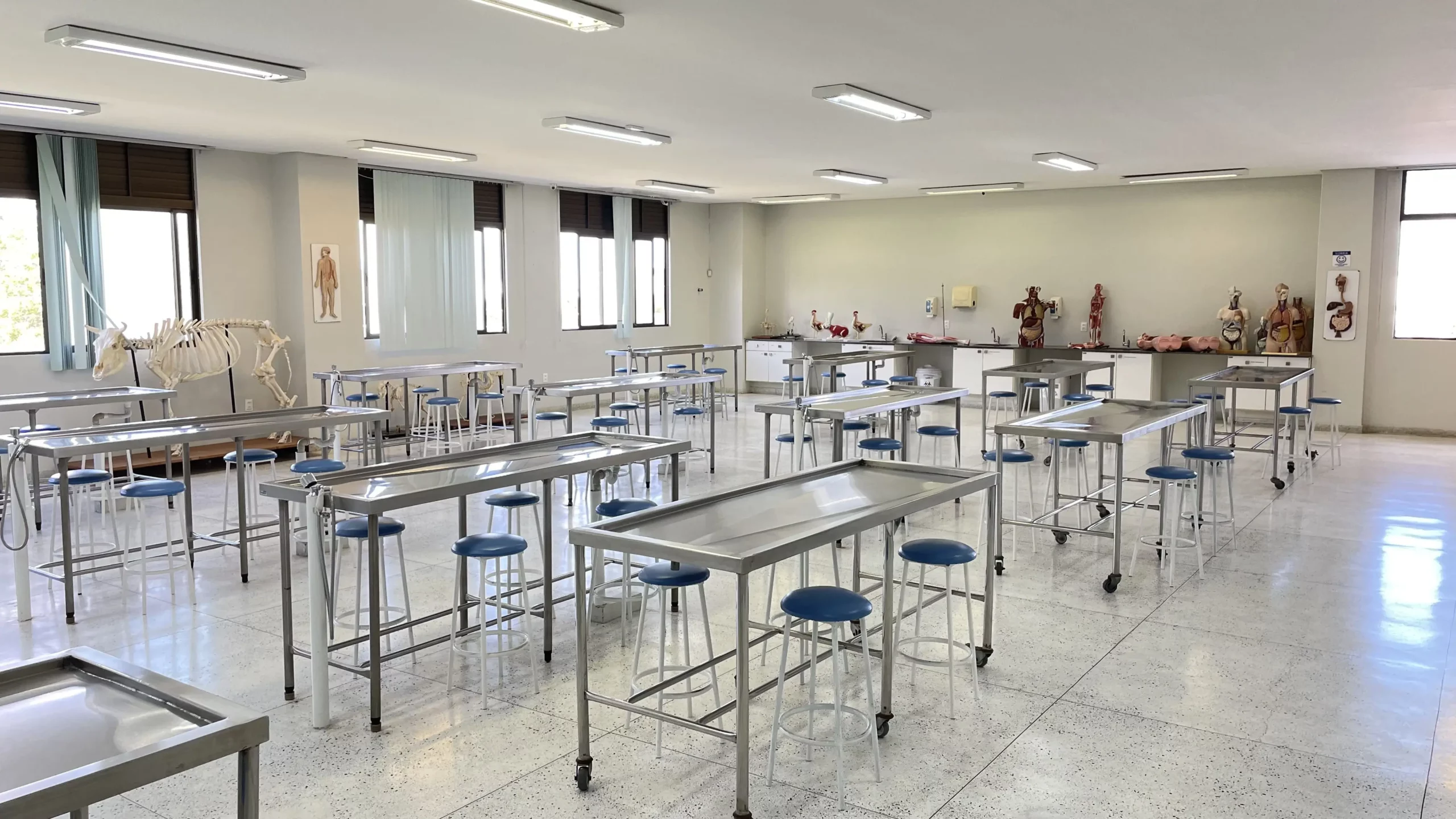 Imagens apresentando o campus