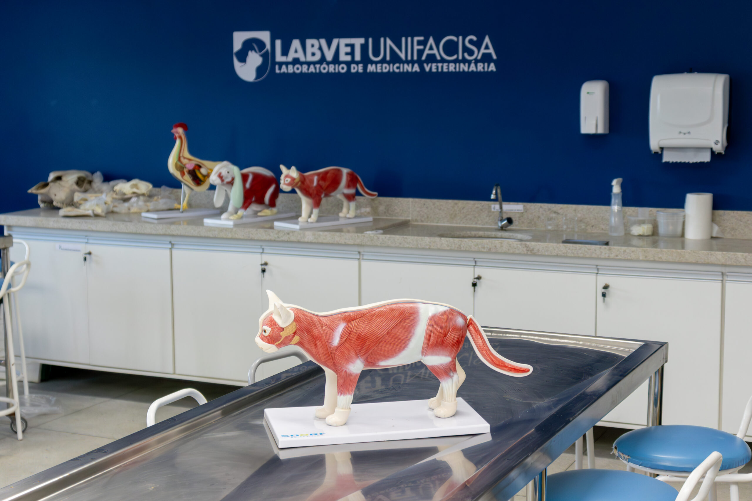 Medicina Veterinária