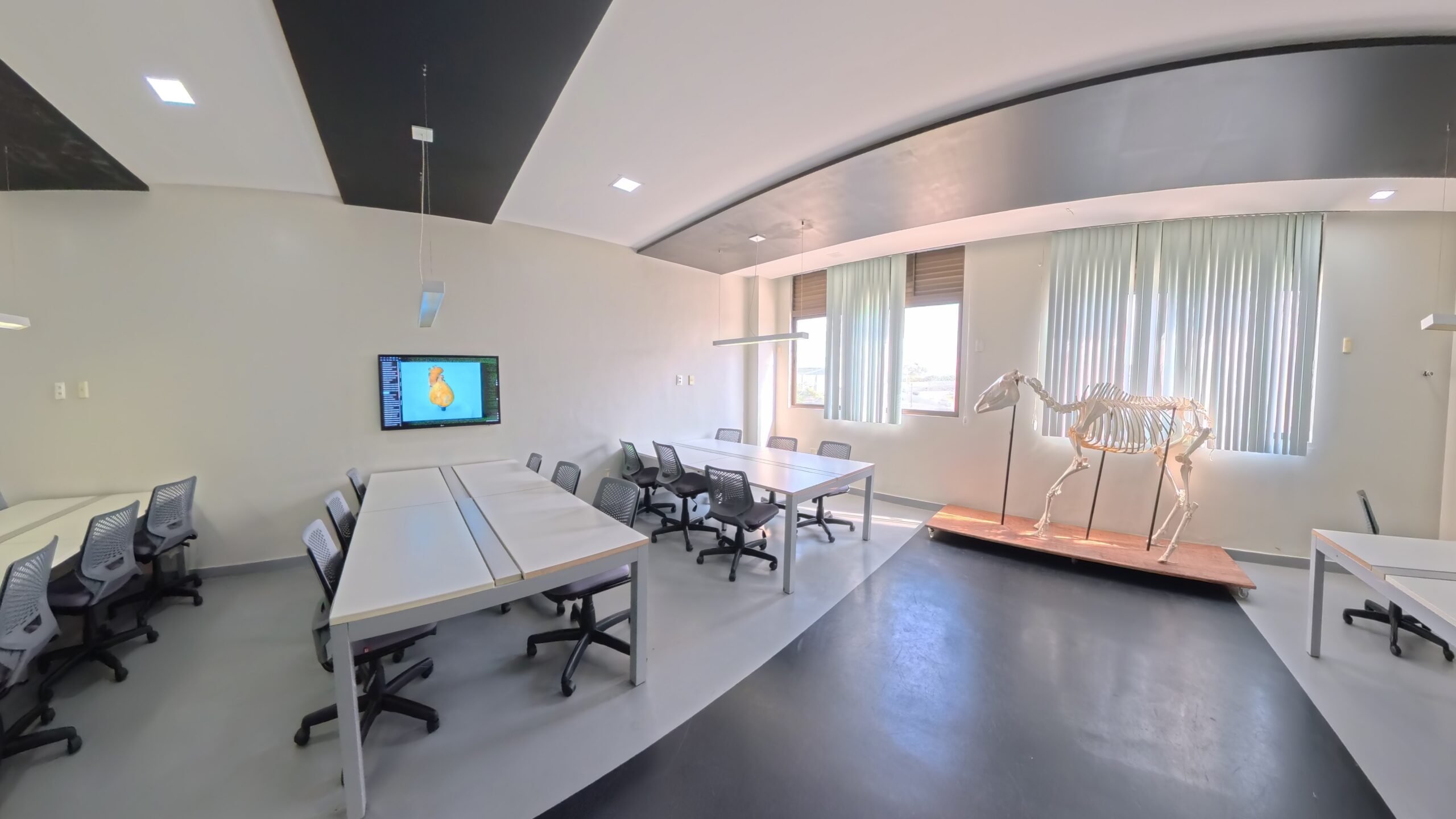 Medicina Veterinária